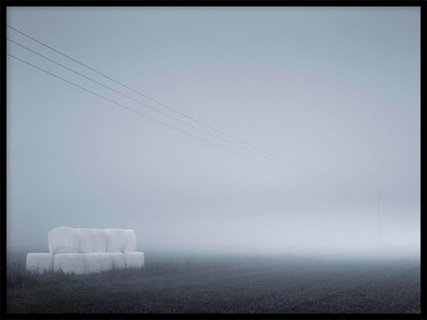 Poster: Fog I, by Patrik Larsson