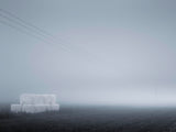 Poster: Fog I, by Patrik Larsson