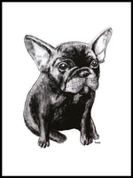 Poster: French Bulldog, by Tvinkla