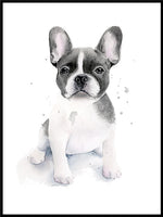 Poster: Frenchie, by Cora konst & illustration