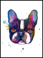 Poster: Frenchie head, by Discontinued products