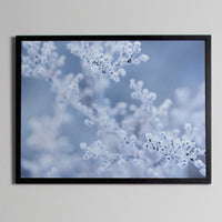 Poster: Frost, by Discontinued products