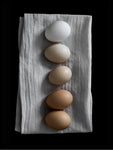 Poster: Eggs, by EMELIEmaria