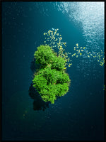 Poster: Green Island, by Patrik Larsson