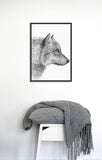 Poster: Grey Wolf - closeup, by Per Svanström