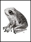 Poster: Frog, by Tvinkla