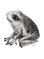 Poster: Frog, by Tvinkla