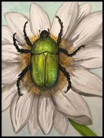 Poster: Bug in flower, by Lindblom of Sweden