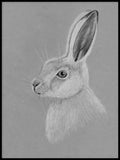 Poster: Hare, by Fröken Fräken Form