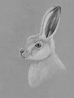 Poster: Hare, by Fröken Fräken Form