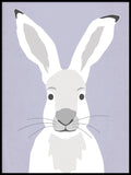 Poster: Hare, by Discontinued products