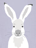 Poster: Hare, by Discontinued products