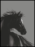Poster: Horse, grey, by ANNABOYE