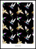 Poster: Hummingbirds, by Ekkoform illustrations
