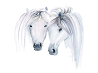 Poster: Icelandic Horses, by Cora konst & illustration