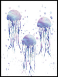 Poster: Jellyfish 4, by Paperago