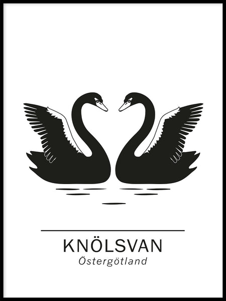 Poster: Swan the official animals of Östergötland, Sweden., by Paperago