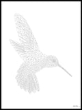 Poster: Hummingbird, by Discontinued products