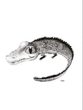 Poster: Crocodile, by Tvinkla