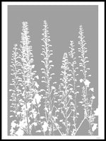 Poster: Larkspur II, by Discontinued products