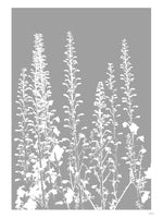 Poster: Larkspur II, by Discontinued products