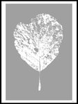 Poster: Leaf, by Discontinued products