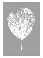 Poster: Leaf, by Discontinued products