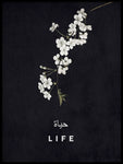 Poster: Life, by Grafiska huset