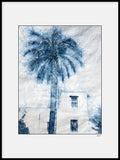 Poster: Lines: House and palms, by A chapter 5 - Caro-lines