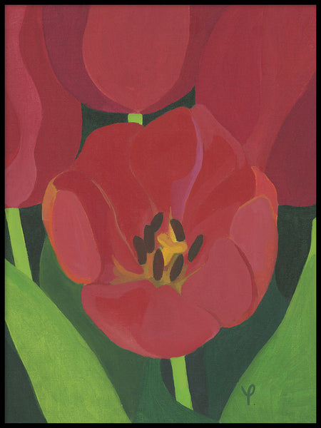 Poster: Small red tulip, by Yvonnes galleri