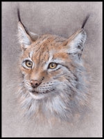 Poster: The secret of the Lynx, by Discontinued products