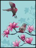 Poster: Magnolia and birds, by Linda Forsberg