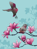 Poster: Magnolia and birds, by Linda Forsberg