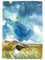 Poster: Gull I, by Discontinued products
