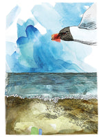 Poster: Gull III, by Discontinued products