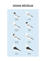 Poster: Gulls, by Discontinued products