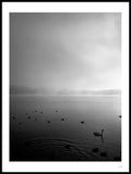 Poster: Misty Lake I, by Discontinued products