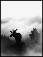 Poster: Moose, by Discontinued products