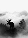 Poster: Moose, by Discontinued products