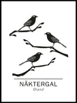 Poster: Curlew the official animals of ölans, Sweden., by Paperago