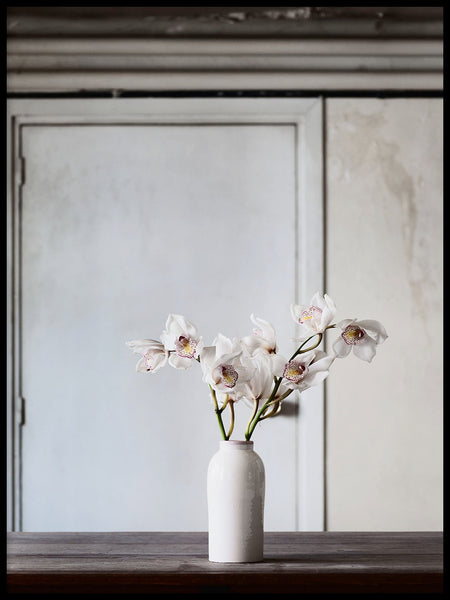 Poster: Orchid, by Kim Fristedt Malmberg