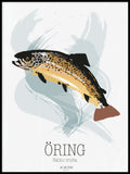 Poster: Trout, by Discontinued products