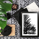 Poster: Palm Leaves I, by Discontinued products