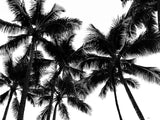 Poster: Palm trees, by Caro-lines