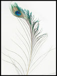 Poster: Peacock, by Susanne Snaar