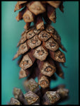 Poster: Pine cone II, by Fotastiskt Art