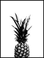 Poster: Pineapple, by Discontinued products