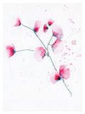 Poster: Pink Leaves, by Discontinued products