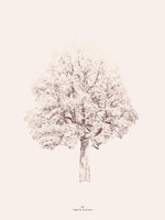 Poster: Pink Tree, by Discontinued products