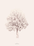 Poster: Pink Tree, by Discontinued products